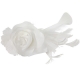 Sidecomb rose feathers white