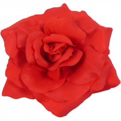 Maxima Rose Red