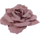Maxima Rose Old Pink